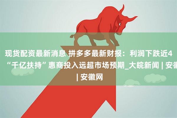 现货配资最新消息 拼多多最新财报：利润下跌近4成，“千亿扶持”惠商投入远超市场预期_大皖新闻 | 安徽网