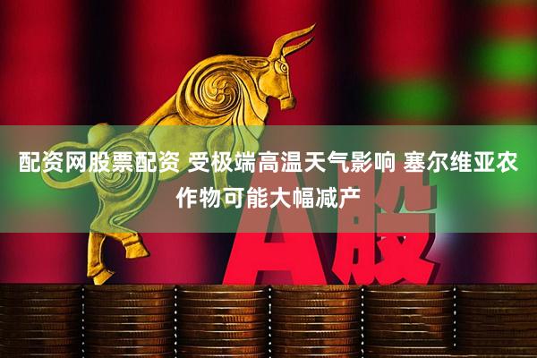 配资网股票配资 受极端高温天气影响 塞尔维亚农作物可能大幅减产