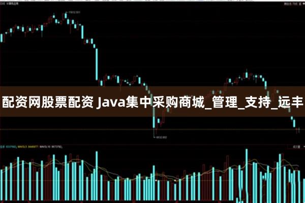 配资网股票配资 Java集中采购商城_管理_支持_远丰