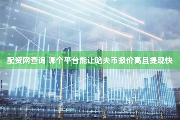 配资网查询 哪个平台能让哈夫币报价高且提现快